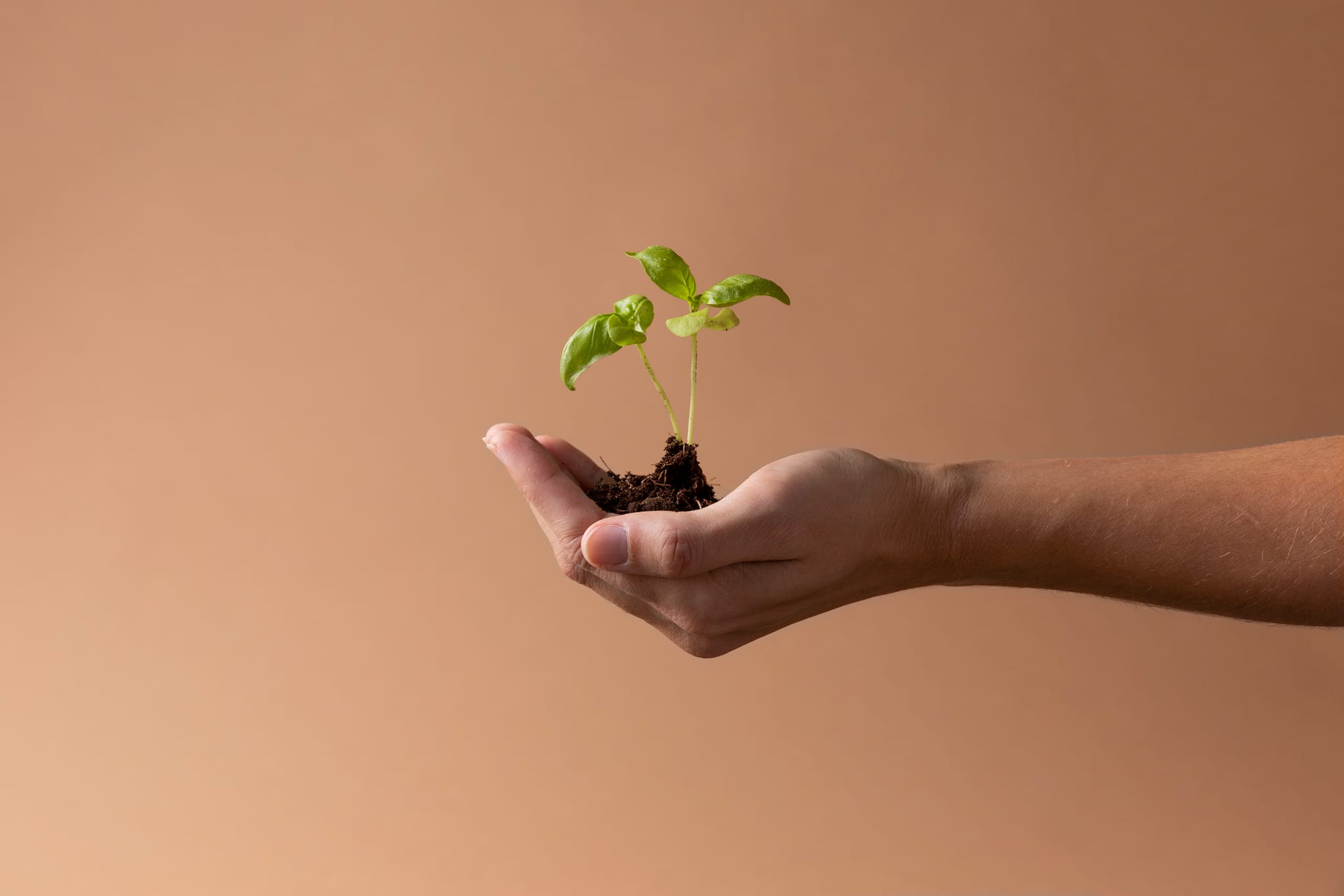 Cultivo e crescimento — Instituto Cultivar Progresso